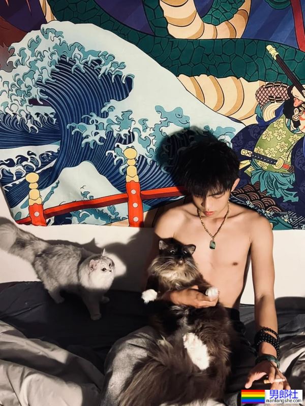 男孩与猫猫 - 51虹马