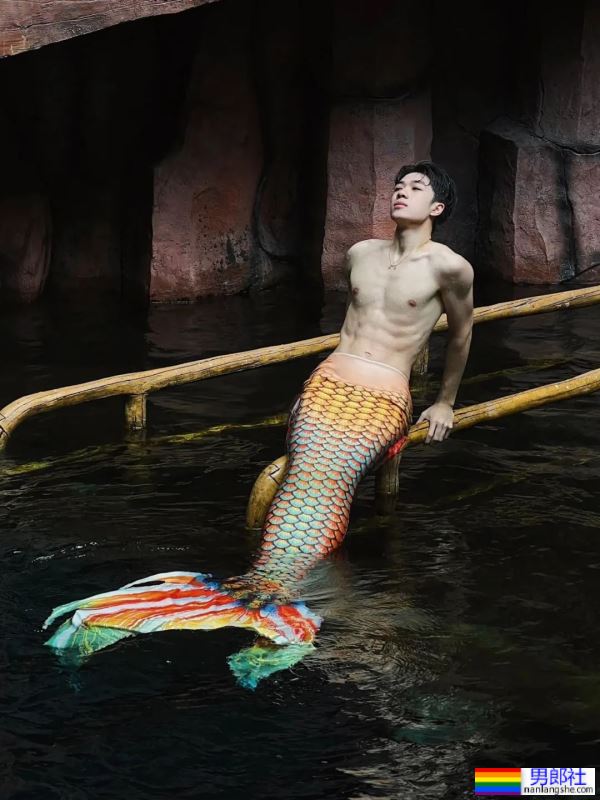 一条八块腹肌的雄性美人鱼-51虹马