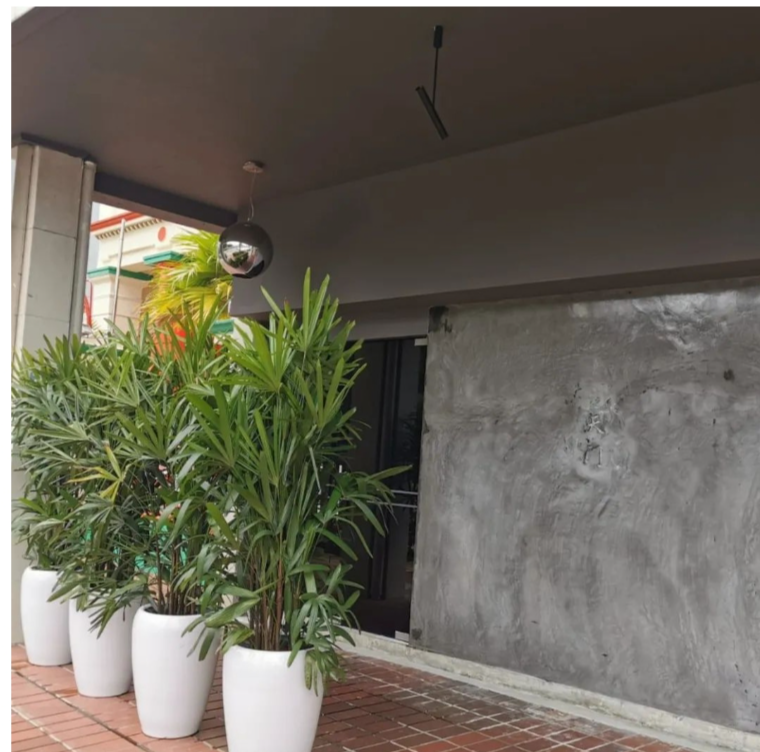 2月9日起!新加坡对中国免签,场所情况盘点 - 51虹马 2月9日起!新加坡对中国免签,场所情况盘点 - 51虹马