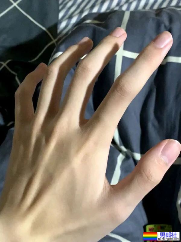 手控，修长，青筋暴起 - 51虹马