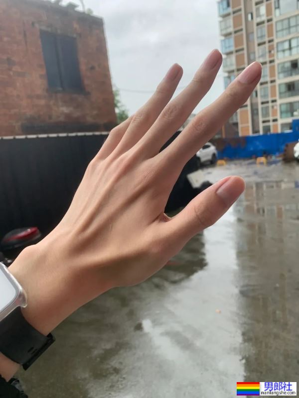 手控，修长，青筋暴起 - 51虹马