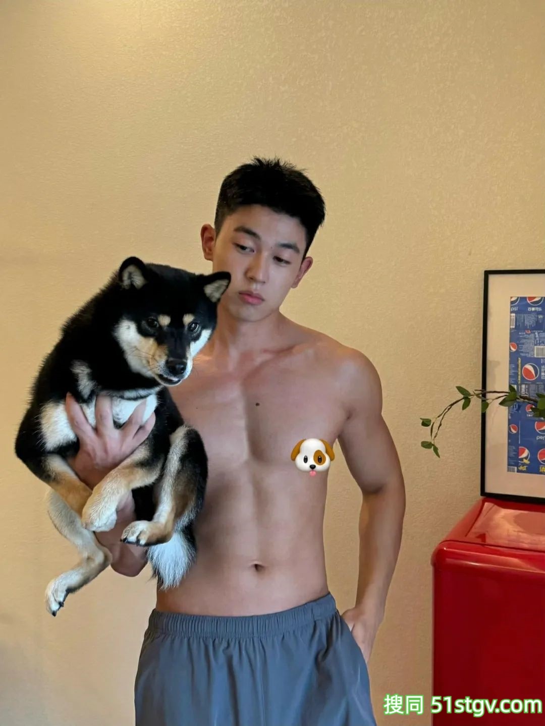 帅哥哥和小狗狗，太可爱了吧 - 51虹马