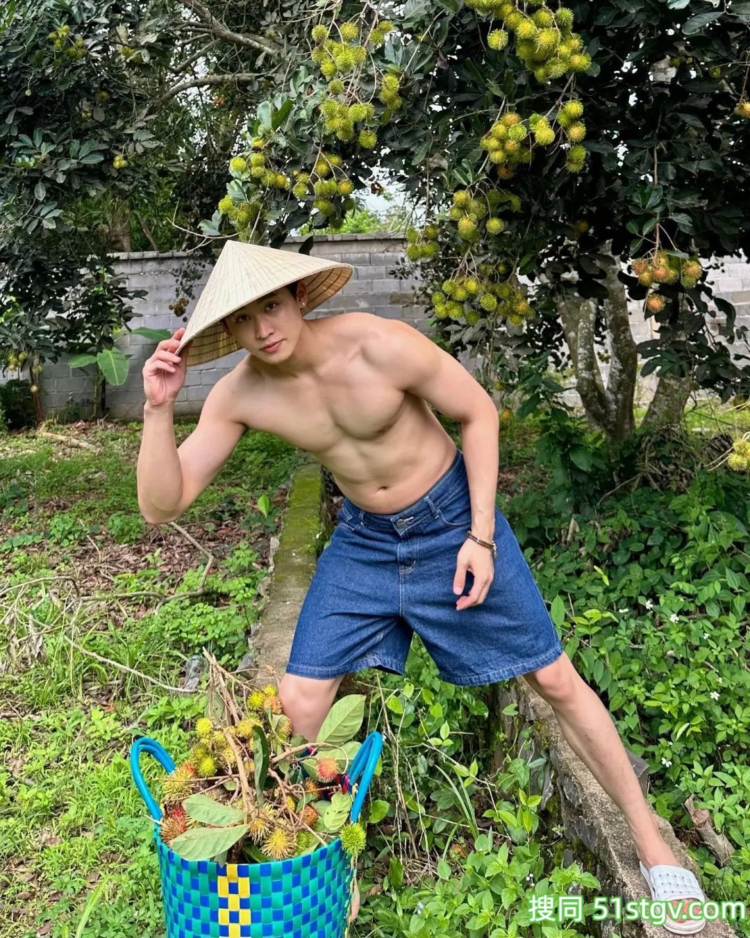 长腿小哥哥，上山摘栗子大丰收 - 51虹马