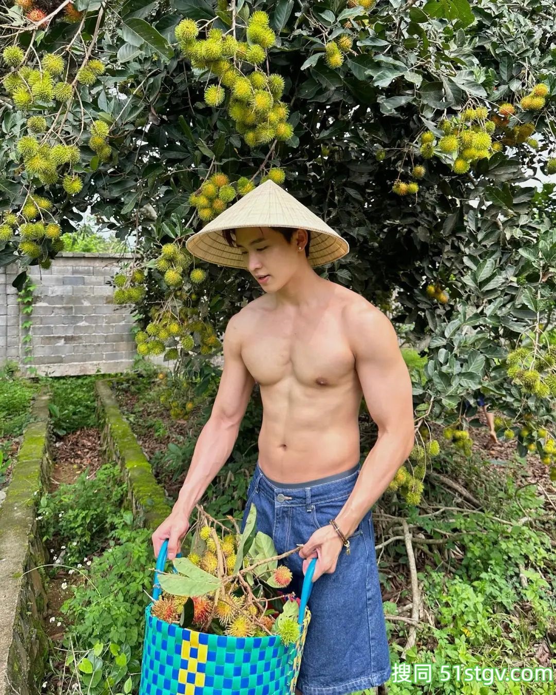 长腿小哥哥，上山摘栗子大丰收 - 51虹马