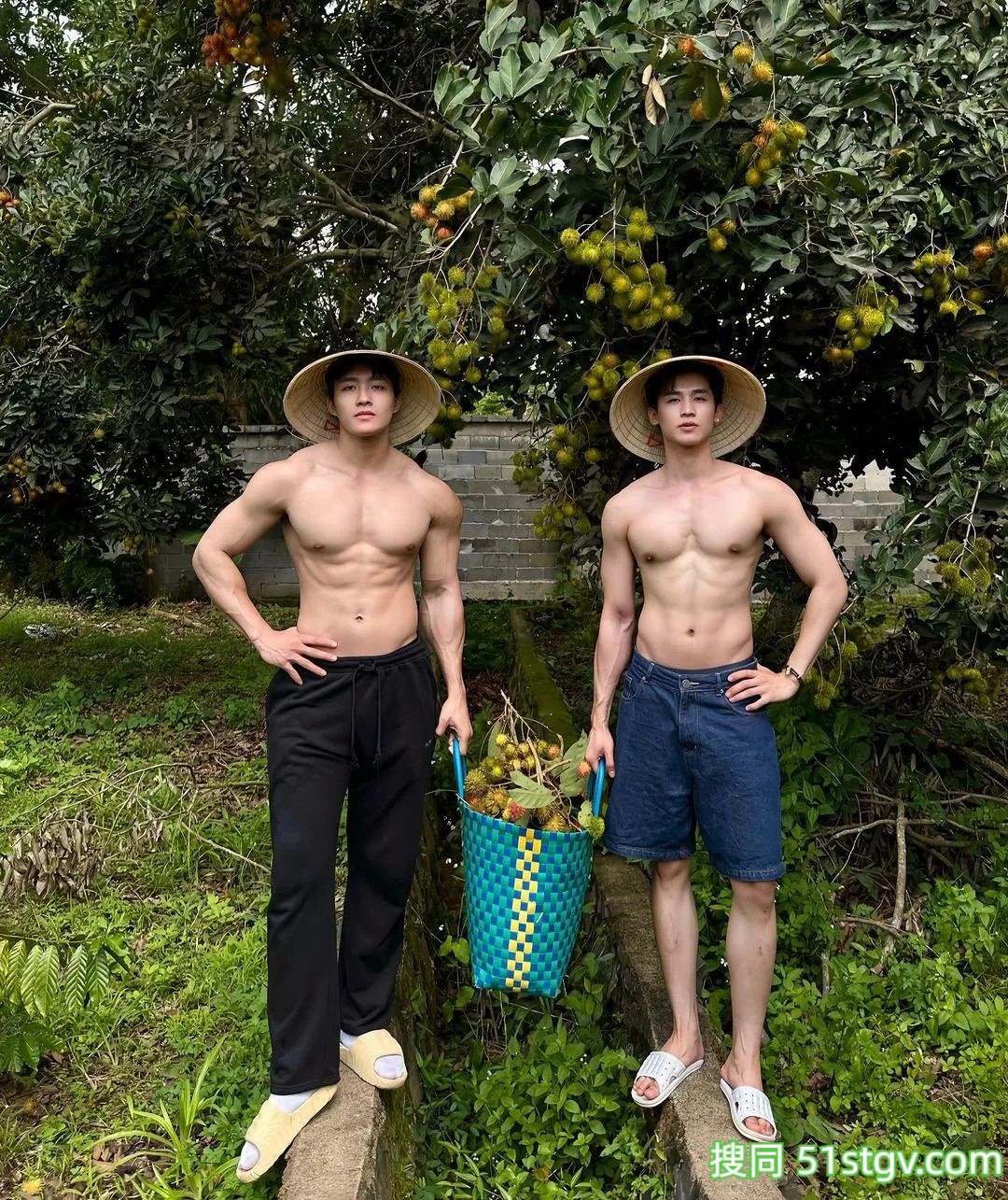 长腿小哥哥，上山摘栗子大丰收-51虹马