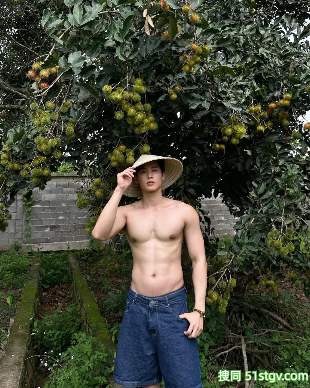 长腿小哥哥，上山摘栗子大丰收 - 51虹马