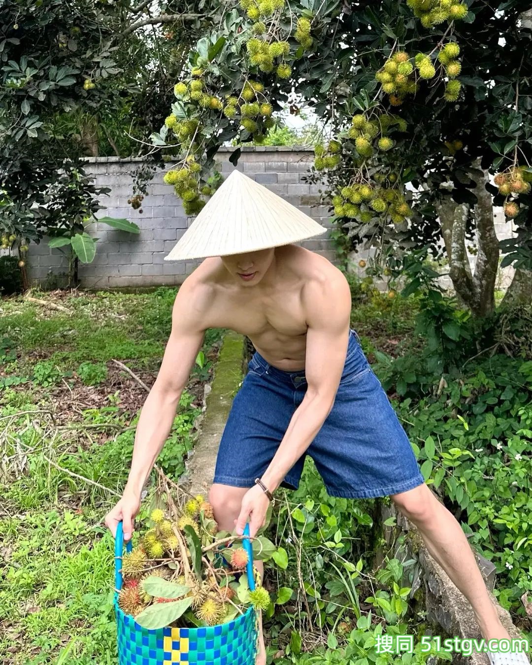 长腿小哥哥，上山摘栗子大丰收 - 51虹马