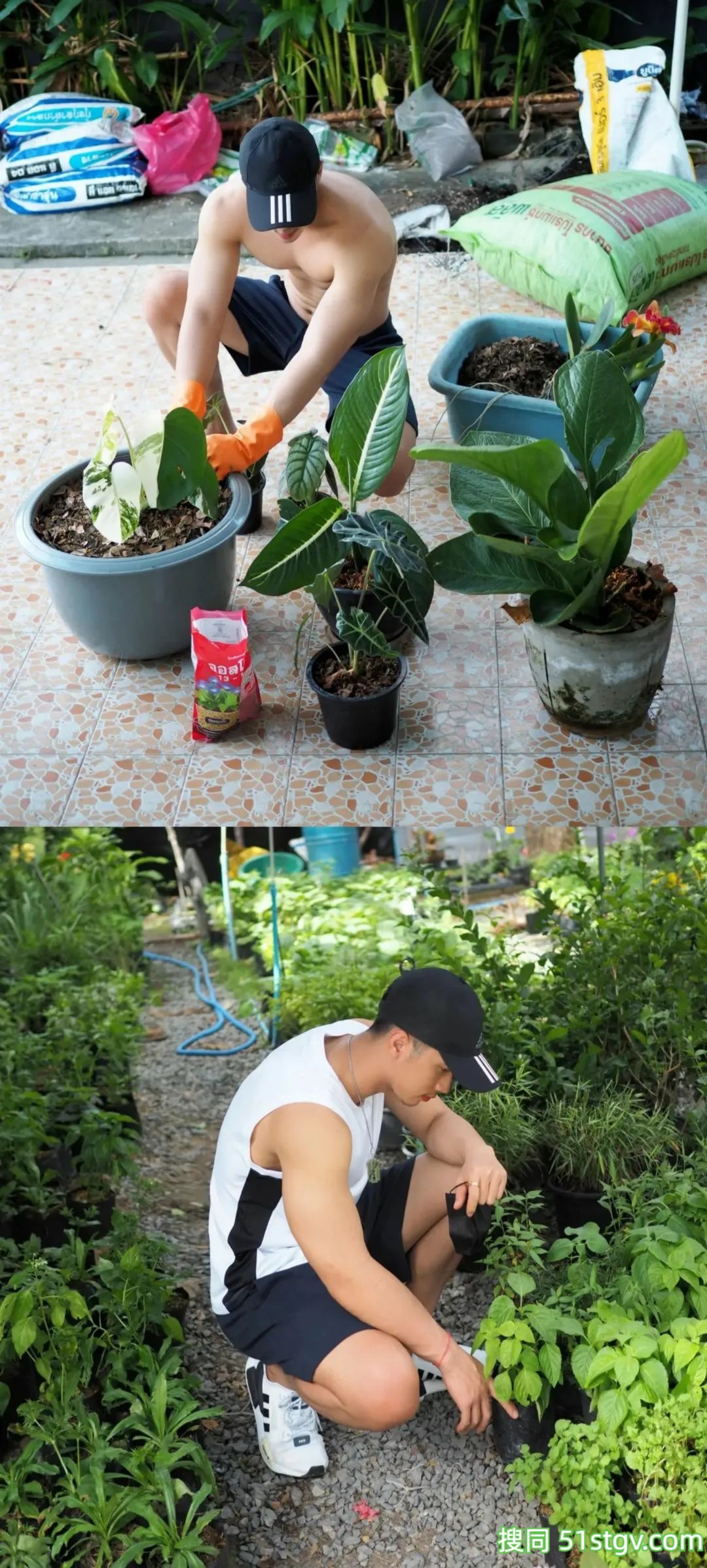 每日男友，海边玩水 - 51虹马