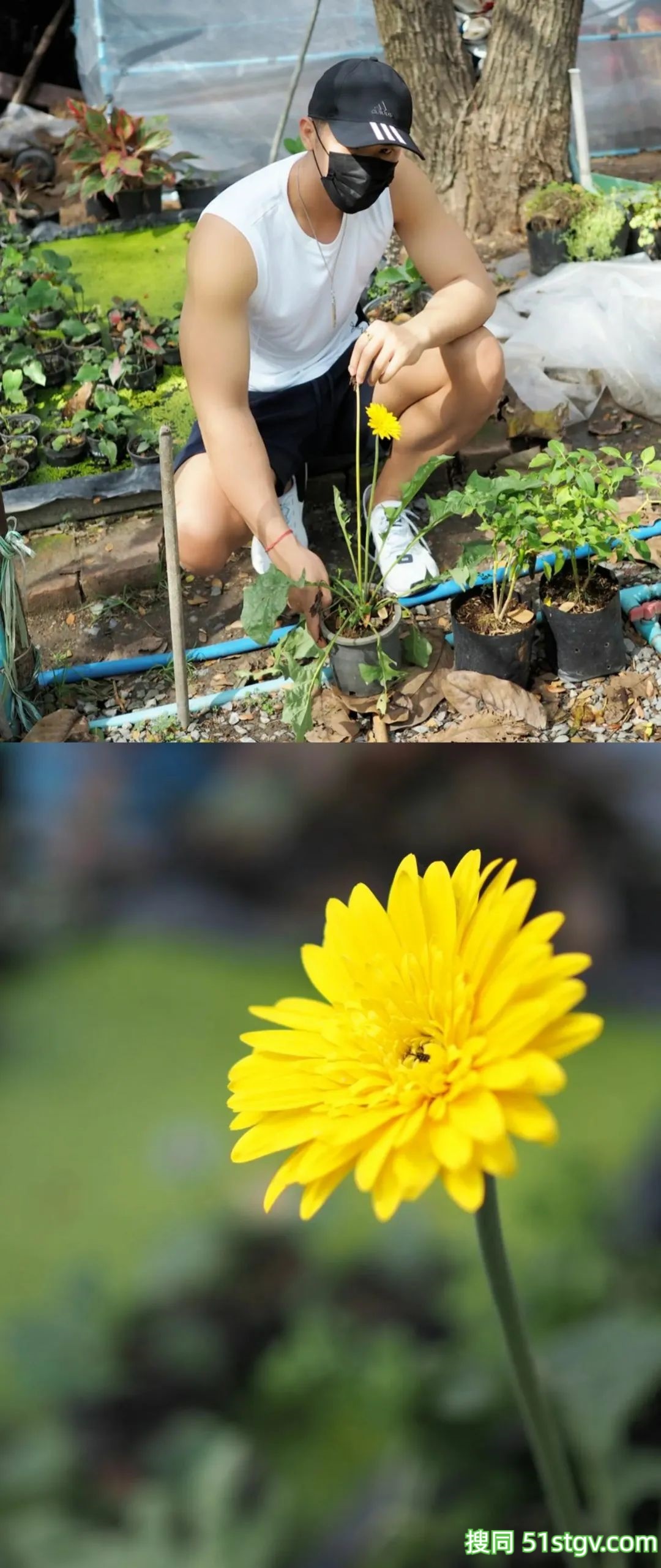 每日男友，海边玩水 - 51虹马