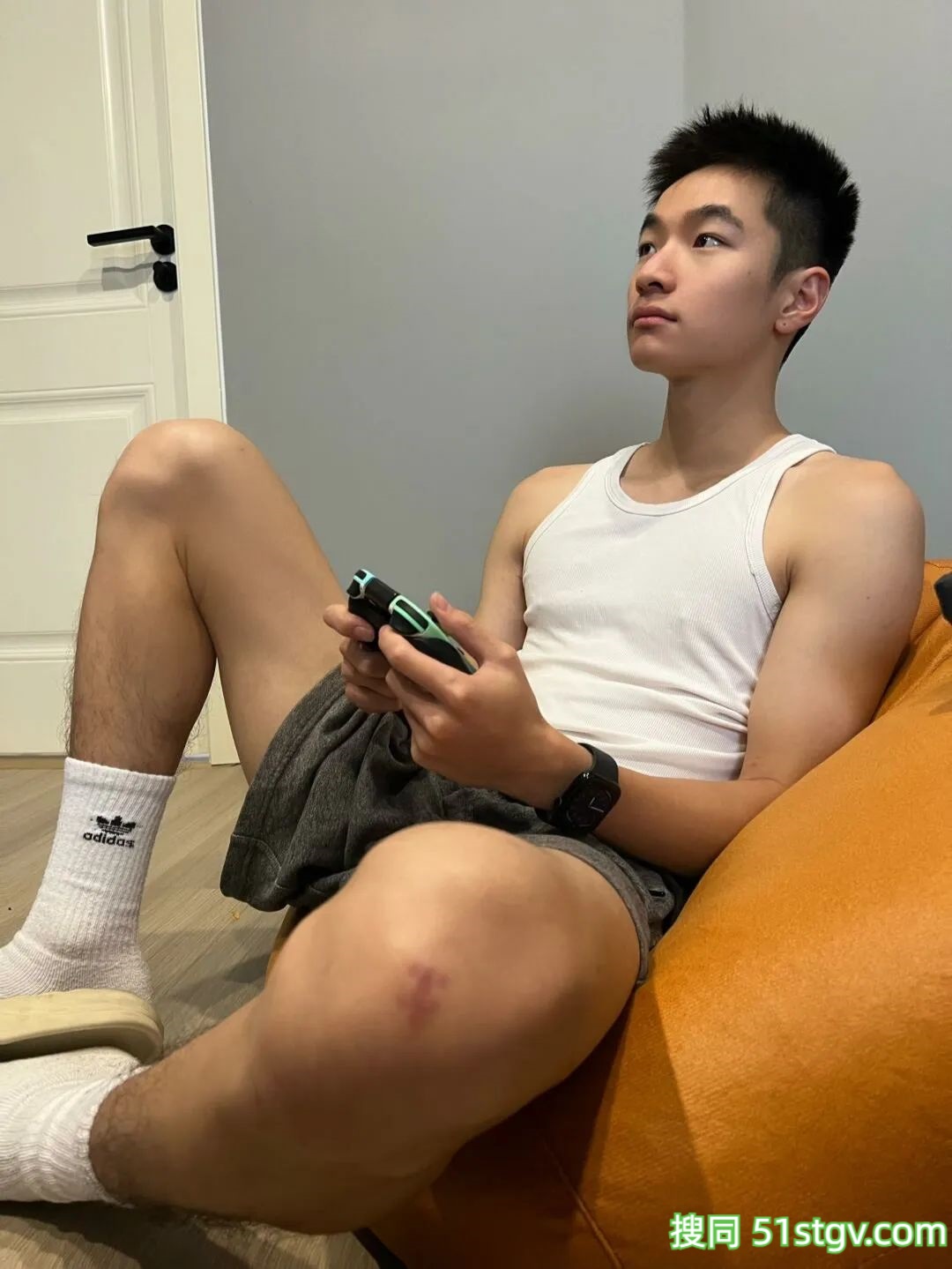 云南可爱的小鹿 - 51虹马