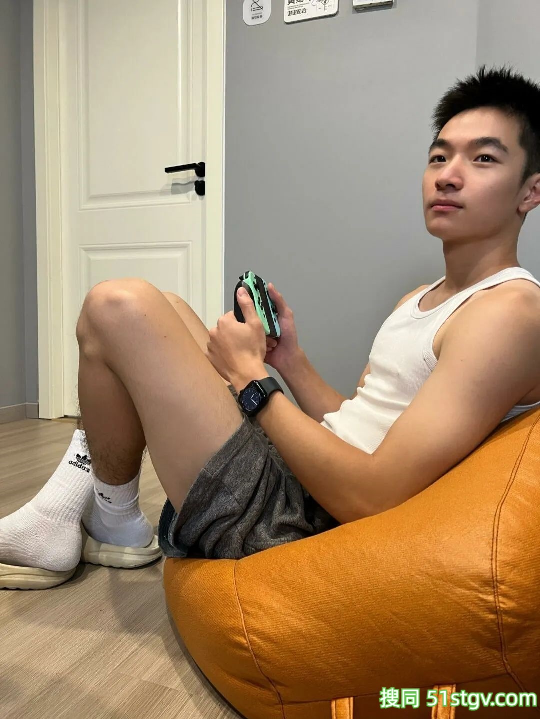 云南可爱的小鹿 - 51虹马