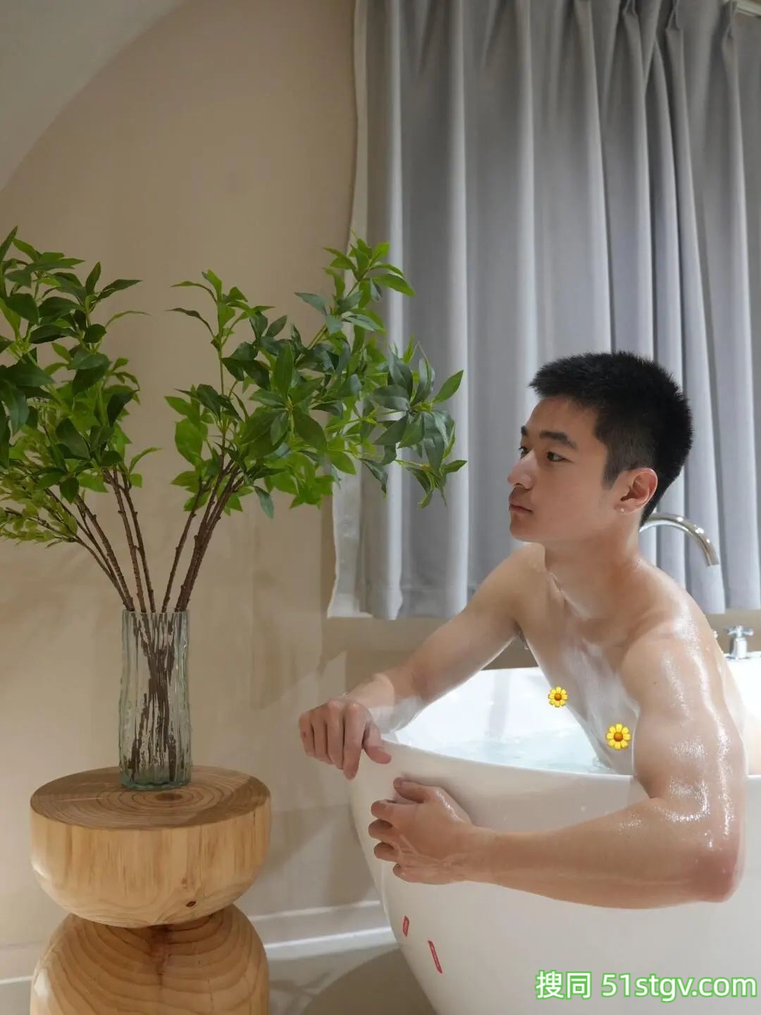 云南可爱的小鹿 - 51虹马