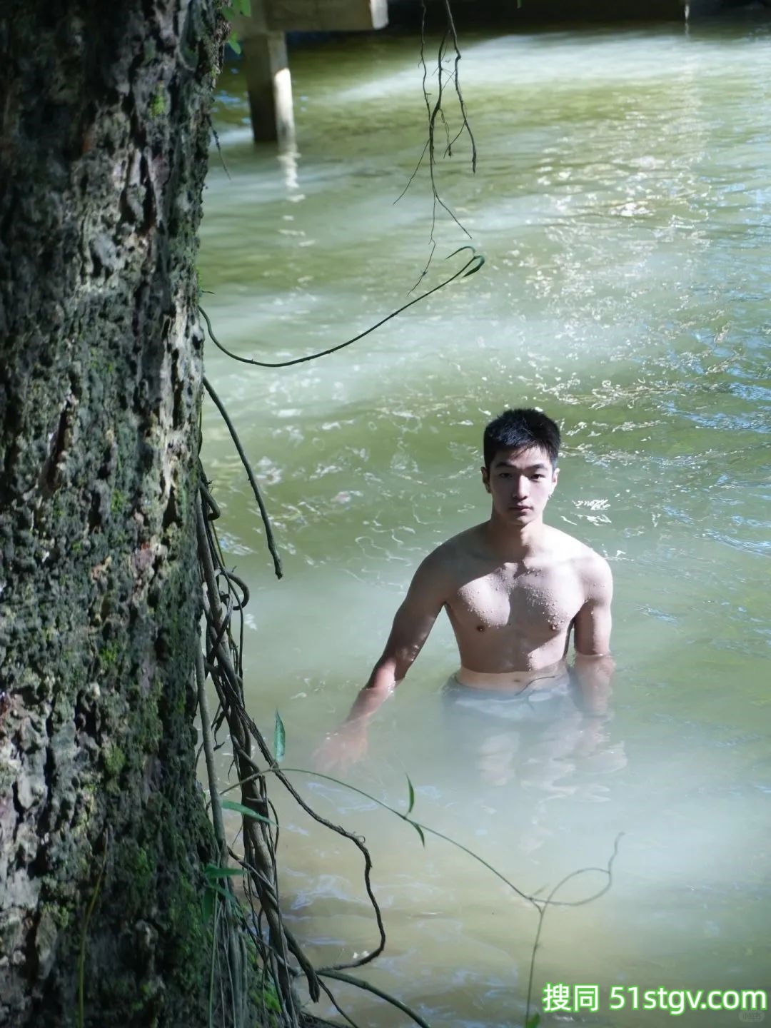 云南可爱的小鹿 - 51虹马