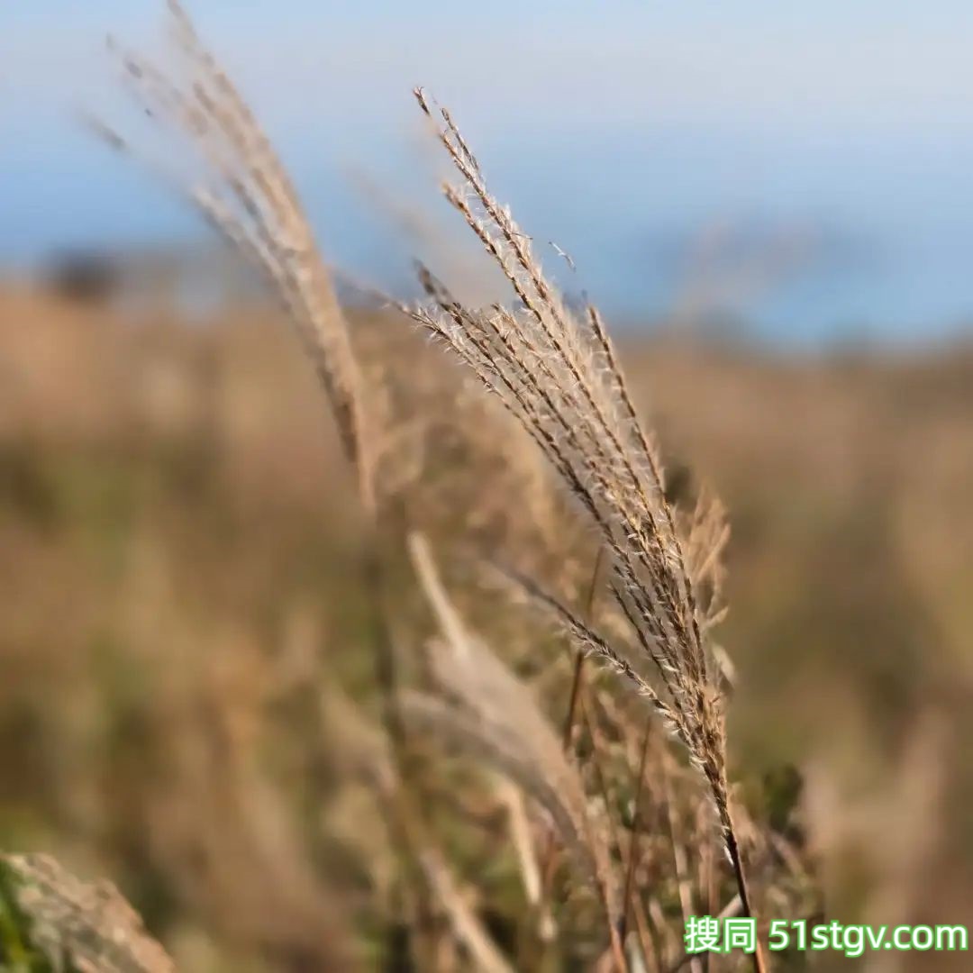 周末户外爬山 - 51虹马