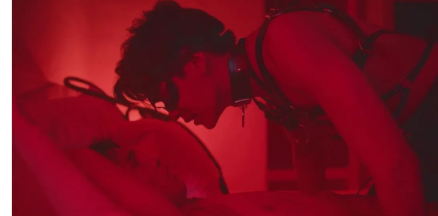 《创作爱情》BL小说家与民宿老板的故事 - 51虹马 《创作爱情》BL小说家与民宿老板的故事 - 51虹马