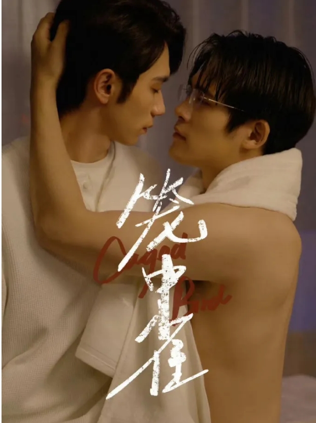 《笼中雀》超级疯批，耽美剧竟然杀进小妈赛道-51虹马