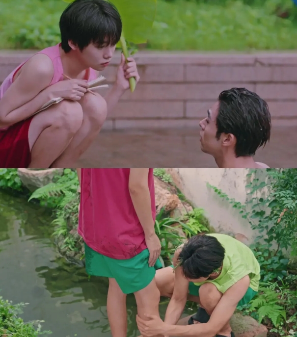 《荔枝树下热烈岛》一个美好的青春纯爱故事 - 51虹马