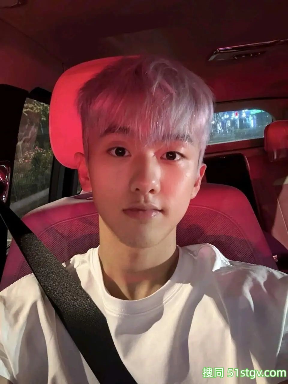 小奶狗有大肌肉 - 51虹马