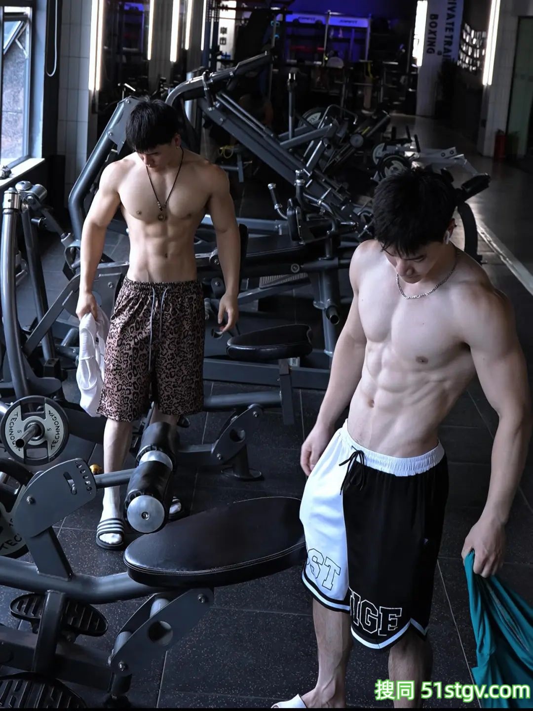 荷尔蒙的味道，很上头-51虹马