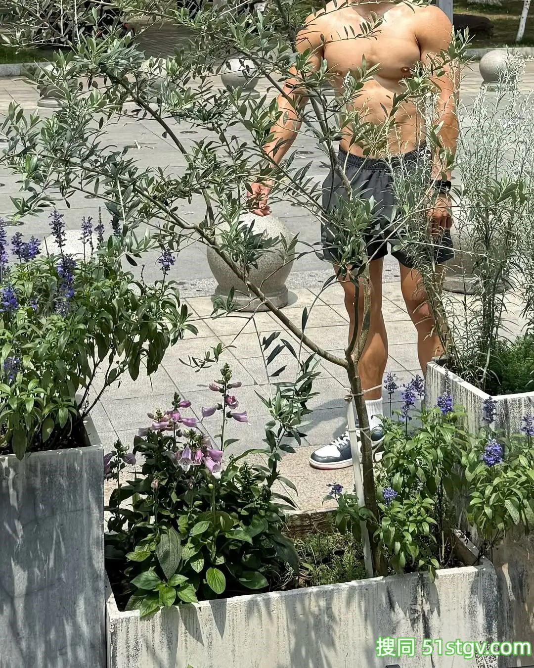 憨憨壮实的体育生 - 51虹马