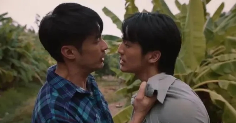 《政治游戏》腹黑野心家政坛新星x熟男高智商清冷医生 - 51虹马